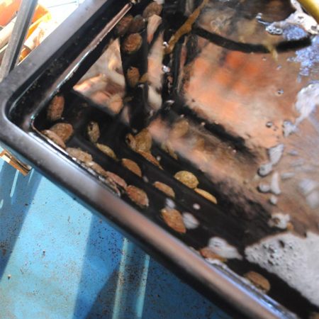 JFC Marine Abalone Tray Marine abalone tray