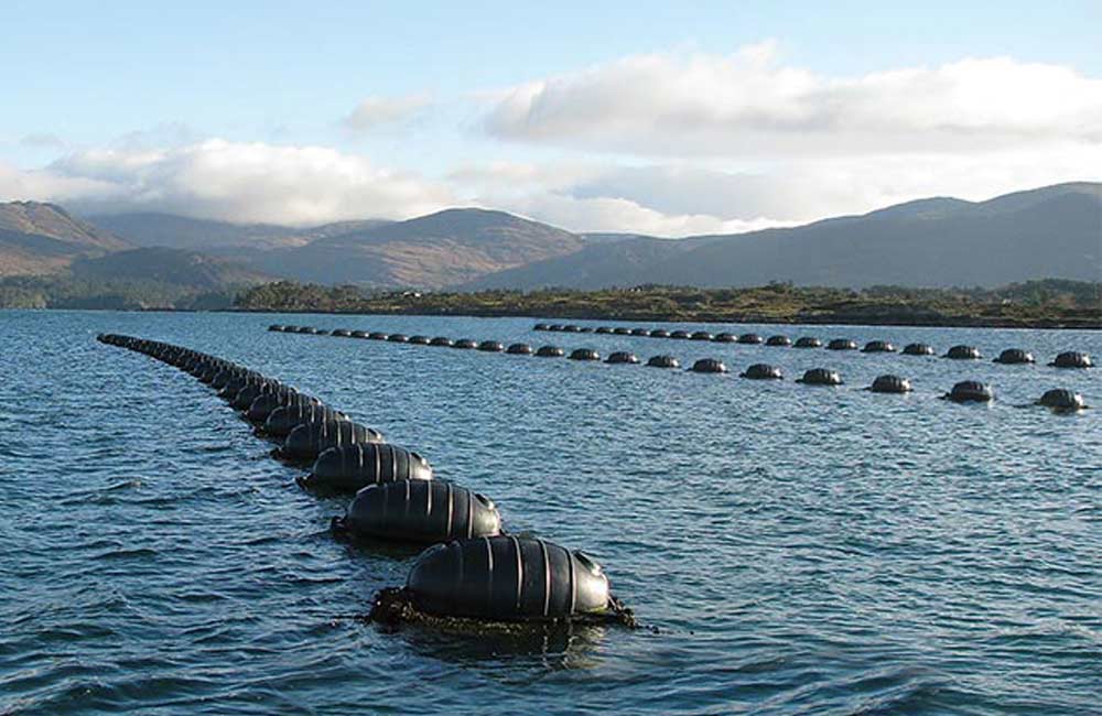 Marine aquaculture mussel floats